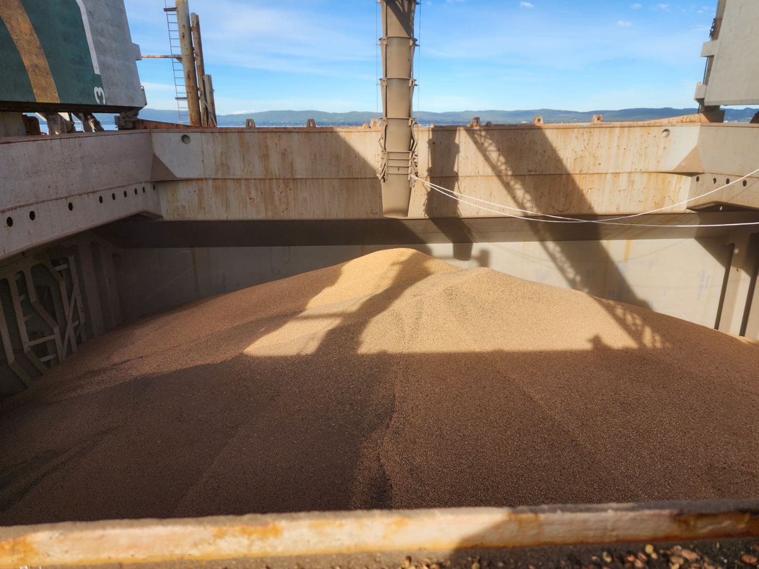 Faba beans loaded into a vessel at the Port of Albany